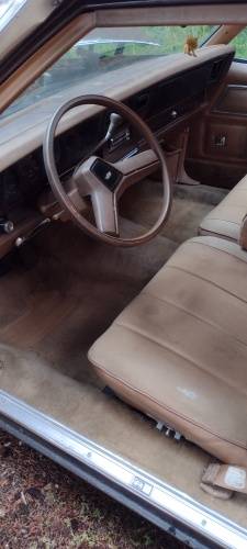 Chevrolet-caprice-classic-1979-brown-11