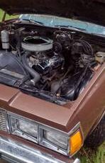 Chevrolet-caprice-classic-1979-brown-7