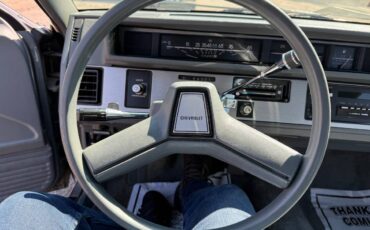 Chevrolet-celebrity-1986-14