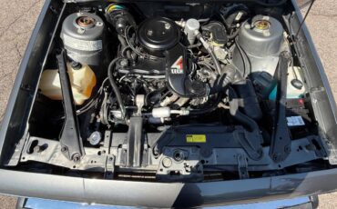 Chevrolet-celebrity-1986-20