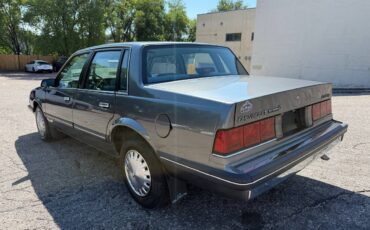 Chevrolet-celebrity-1986-6