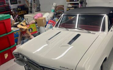 Chevrolet-chevelle-ss-convertible-1967-white-10