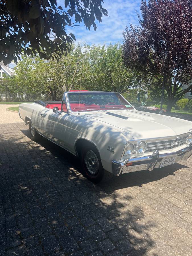 Chevrolet-chevelle-ss-convertible-1967-white-13