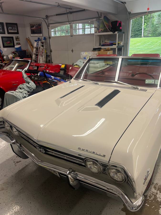 Chevrolet-chevelle-ss-convertible-1967-white-2