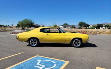 Chevrolet-chevelle-ss-tribute-1970-6