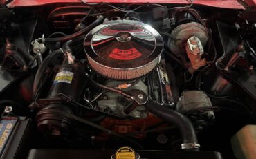 Chevrolet-chevelle-super-sport-396-low-mileage-1969-red-17