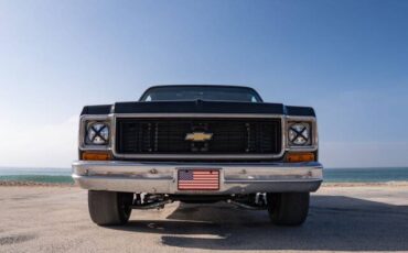 Chevrolet-chevy-c10-1974-custom-9