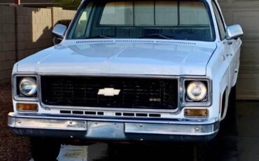Chevrolet-chevy-gmc-c10-c-10-c20-c-20-1974-white-1