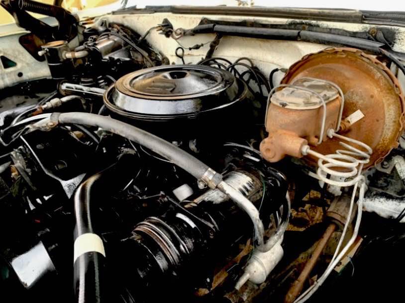 Chevrolet-chevy-gmc-c10-c-10-c20-c-20-1974-white-5