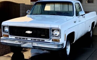 Chevrolet-chevy-gmc-c10-c-10-c20-c-20-1974-white-9