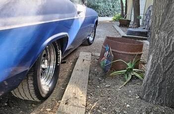 Chevrolet-chevy-impala-1965-blue-7