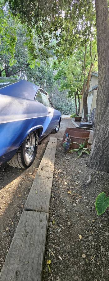 Chevrolet-chevy-impala-1965-blue-7