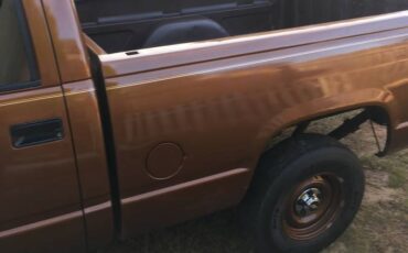 Chevrolet-cheyenne-1500-1990-brown-6