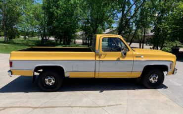 Chevrolet-cheyenne-1979-yellow