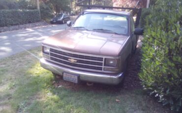 Chevrolet-cheyenne-1989-brown-2