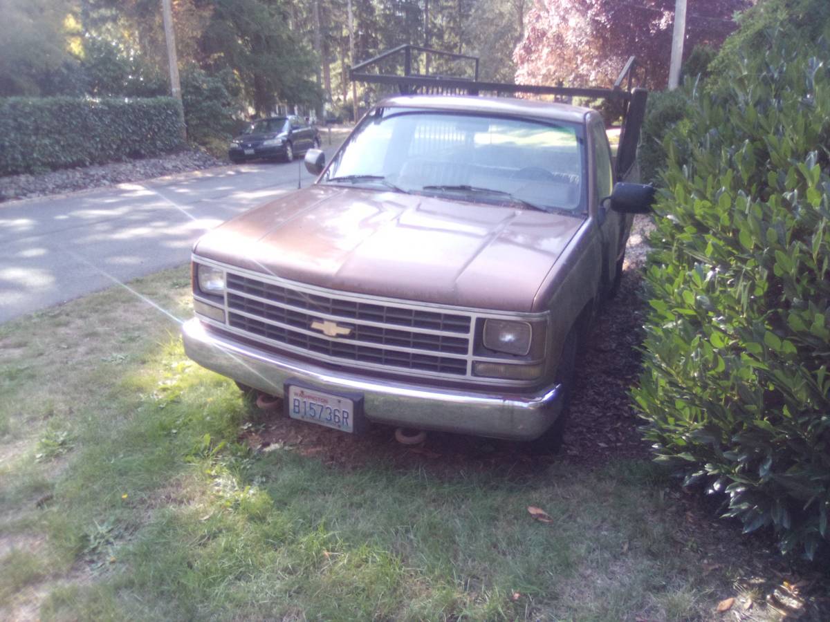 Chevrolet-cheyenne-1989-brown-2