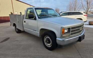 Chevrolet-cheyenne-1993-3