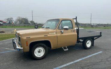 Chevrolet-cheyenne-super-10-1973-brown-1