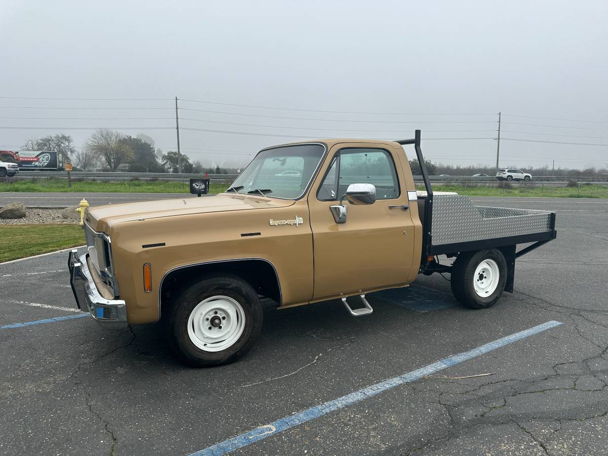 Chevrolet-cheyenne-super-10-1973-brown-1