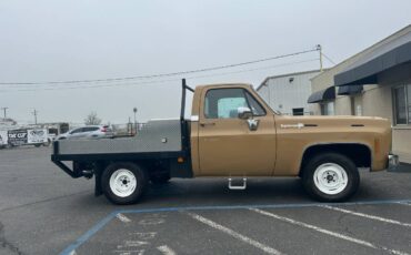 Chevrolet-cheyenne-super-10-1973-brown-2