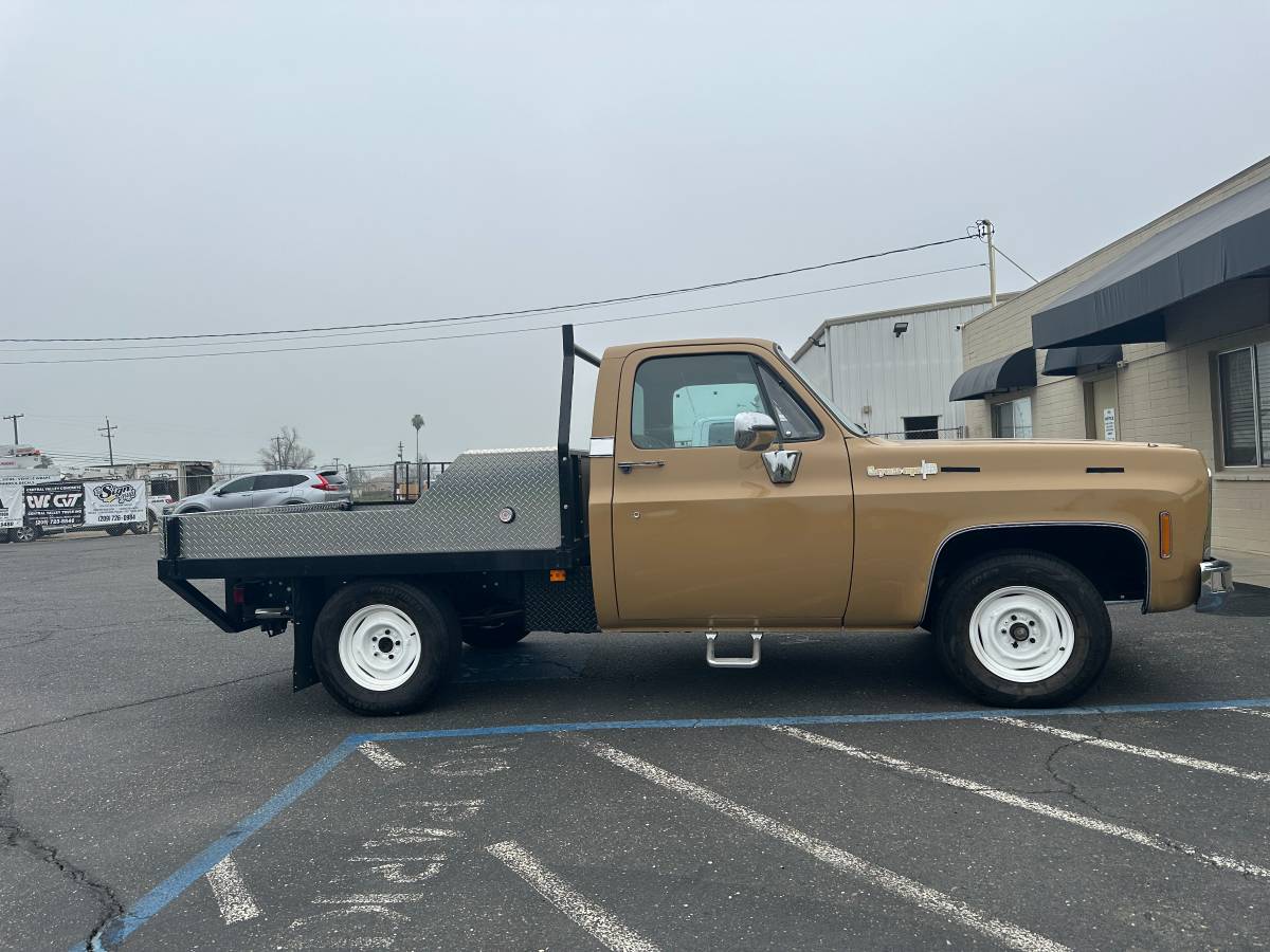 Chevrolet-cheyenne-super-10-1973-brown-2