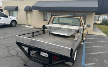 Chevrolet-cheyenne-super-10-1973-brown-3