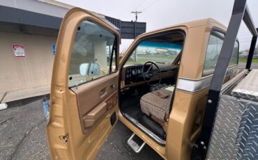 Chevrolet-cheyenne-super-10-1973-brown-4