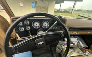 Chevrolet-cheyenne-super-10-1973-brown-5