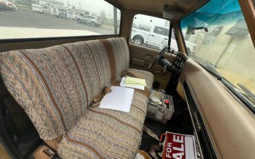 Chevrolet-cheyenne-super-10-1973-brown-6