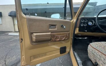 Chevrolet-cheyenne-super-10-1973-brown-7