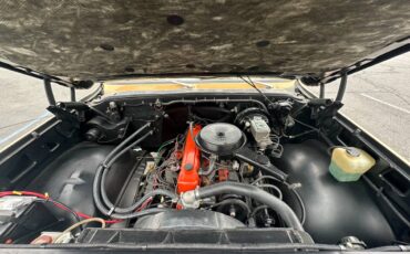 Chevrolet-cheyenne-super-10-1973-brown-8