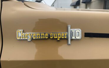 Chevrolet-cheyenne-super-10-1973-brown-9