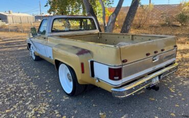 Chevrolet-cheyenne-super-1973-10