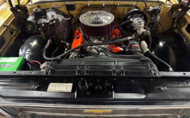 Chevrolet-cheyenne-super-1973-13