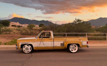 Chevrolet-cheyenne-super-1973-21