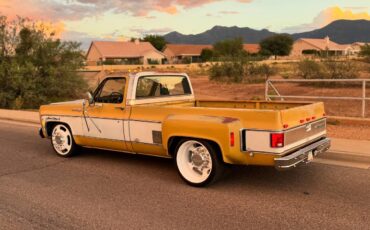 Chevrolet-cheyenne-super-1973-22