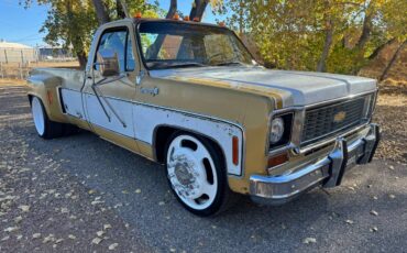 Chevrolet-cheyenne-super-1973-4