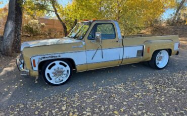 Chevrolet-cheyenne-super-1973-5