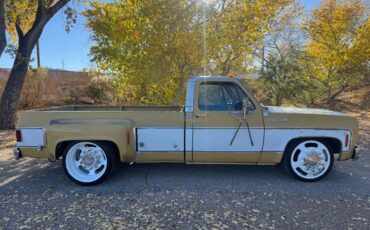 Chevrolet-cheyenne-super-1973-6