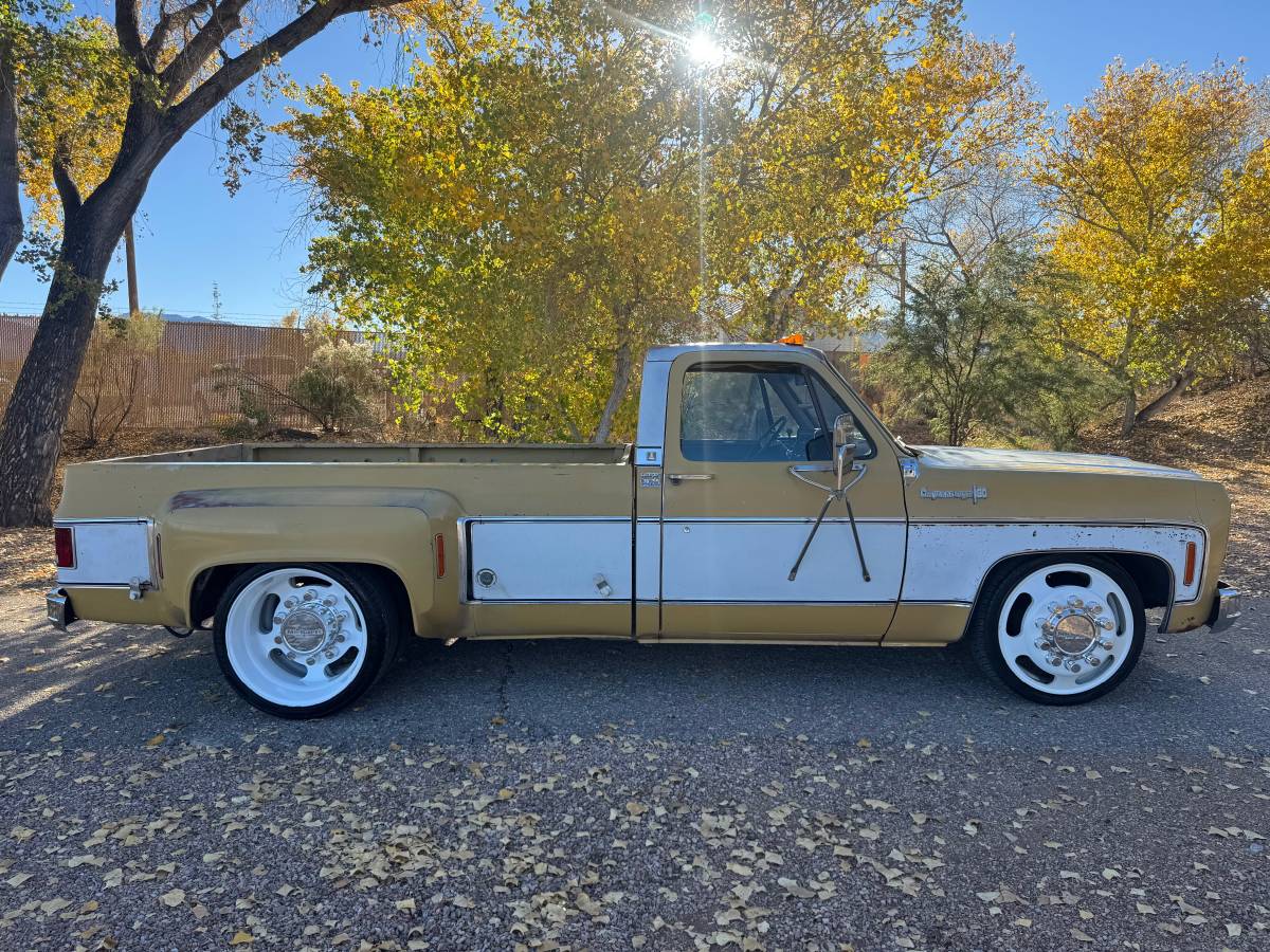 Chevrolet-cheyenne-super-1973-6
