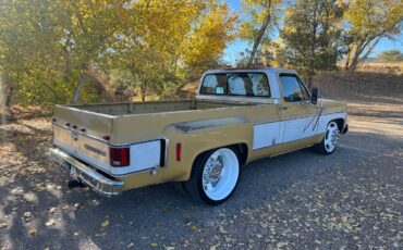 Chevrolet-cheyenne-super-1973-7