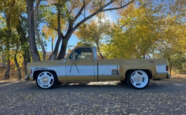 Chevrolet-cheyenne-super-1973-8