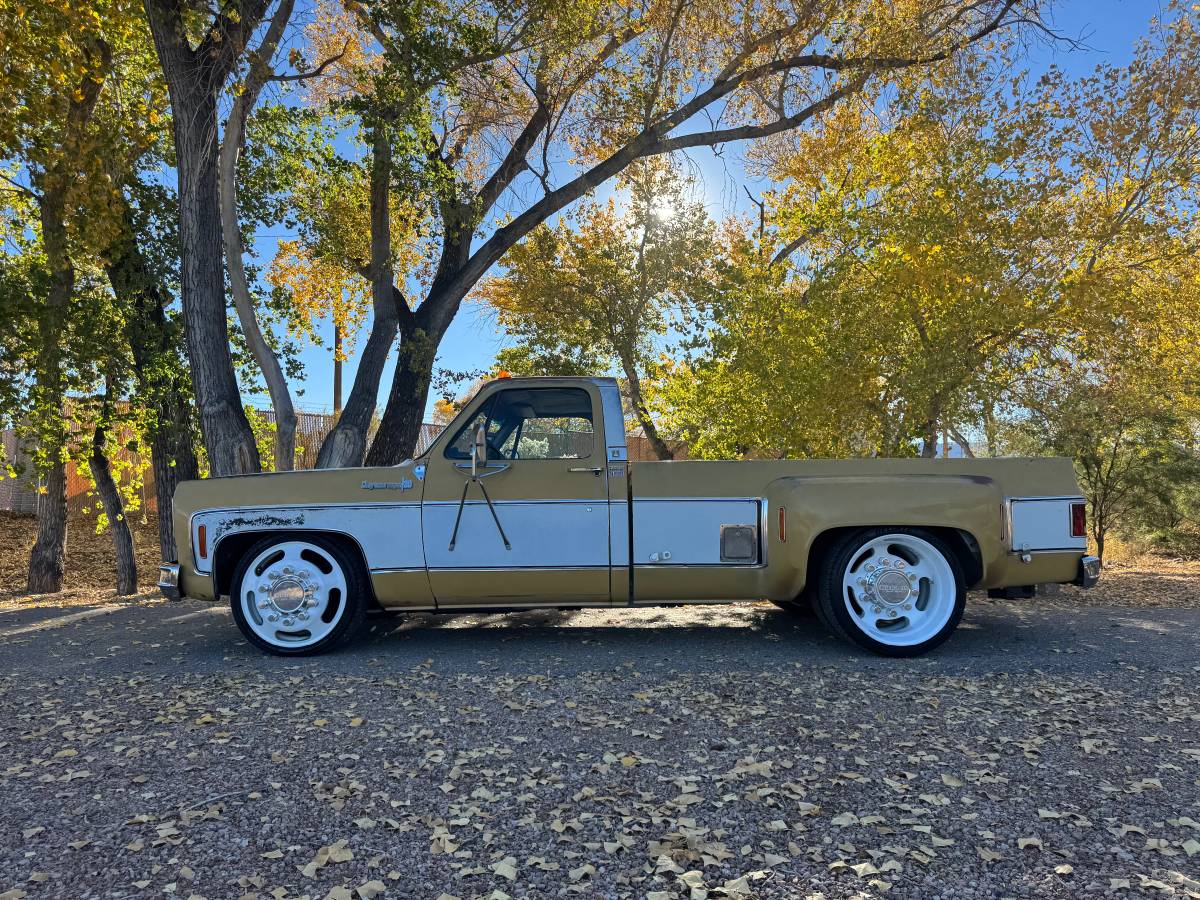 Chevrolet-cheyenne-super-1973-8