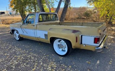 Chevrolet-cheyenne-super-1973-9