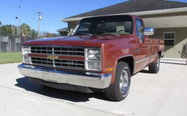 Chevrolet-ck-pickup-12-ton-1983-8