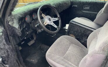 Chevrolet-ck-pickup-12-ton-1983-black-13