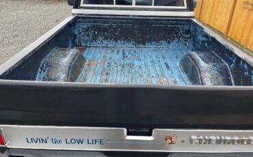 Chevrolet-ck-pickup-12-ton-1983-black-6