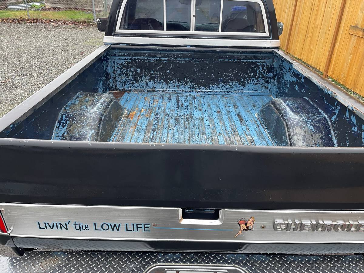 Chevrolet-ck-pickup-12-ton-1983-black-6