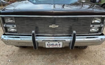Chevrolet-ck-pickup-34-ton-1984-brown-15