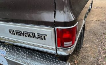 Chevrolet-ck-pickup-34-ton-1984-brown-17
